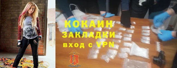 шишки Балахна
