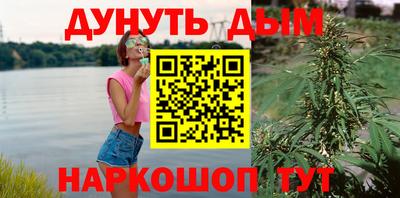 спиды Тосно