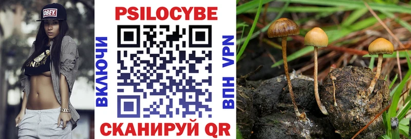 Псилоцибиновые грибы Psilocybe Верхняя Пышма