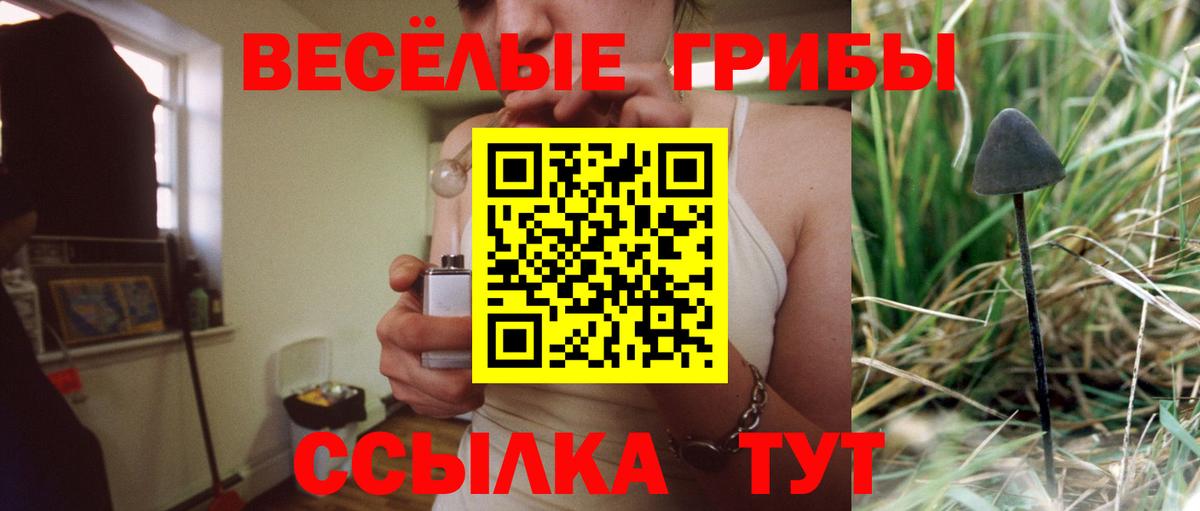 Верхняя Пышма  Псилоцибиновые грибы мицелий  Вход с VPN 